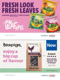 Tesco leaflet Page 15