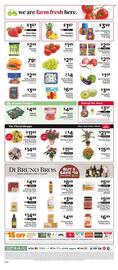 ShopRite Weekly Ad week 28 Page 9