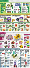 King Kullen Weekly Ad week 28 Page 6