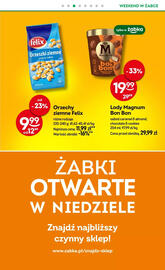 Żabka gazetka Strona 3