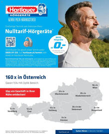 Hartlauer Flugblatt Seite 8