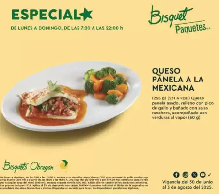 Catálogo Bisquets Obregón (válido hasta 3-08)