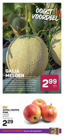 Ekoplaza folder week 29 Pagina 13