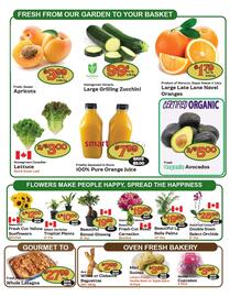 The Garden Basket flyer week 28 Page 2