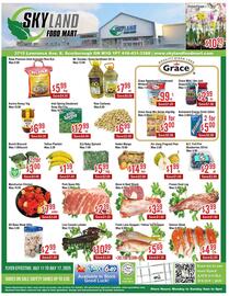 Skyland Foodmart flyer week 28 Page 1