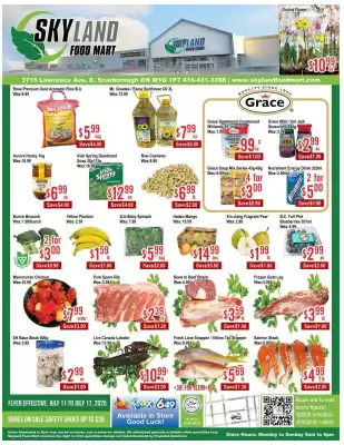 Skyland Foodmart flyer (valid until 18-07)