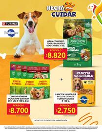 Catálogo Ara semana 28 Página 15