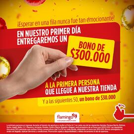 Catálogo Flamingo Página 2