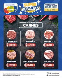 Catálogo Surtifamiliar Página 5