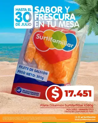 Catálogo Surtifamiliar (válido hasta 30-07)