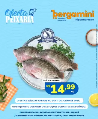 Catálogo Supermercado Bergamini
