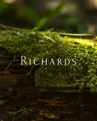 Catálogo Richards (válido até 11-07)