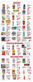 Food Bazaar Weekly Ad week 28 Page 2