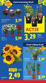 Lidl folder week 29 Pagina 15