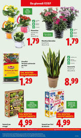 Volantino Lidl settimana 29 Pagina 35