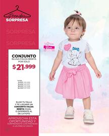 Catálogo Dolce Catálogos Página 64