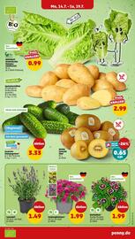 PENNY Prospekt woche 29 Seite 3