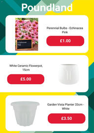 Poundland leaflet Page 4