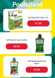 Poundland leaflet Page 5