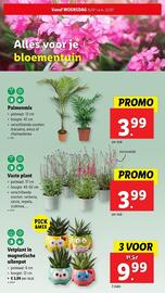 Lidl folder week 29 Pagina 31