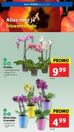 Lidl folder week 29 Pagina 59