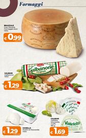 Volantino Ipercoop Radenza Pagina 13