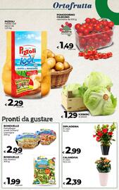 Volantino Ipercoop Radenza Pagina 20