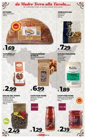 Volantino Ipercoop Radenza Pagina 33