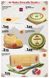 Volantino Ipercoop Radenza Pagina 35