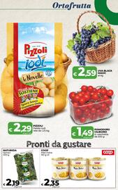 Volantino Coop Radenza Pagina 17