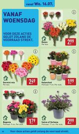 ALDI folder week 29 Pagina 34