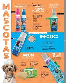 Catálogo Dolce Catálogos Página 96
