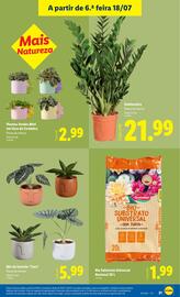 Folheto Lidl semana 29 Página 21