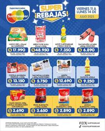 Catálogo Surtifamiliar Página 2