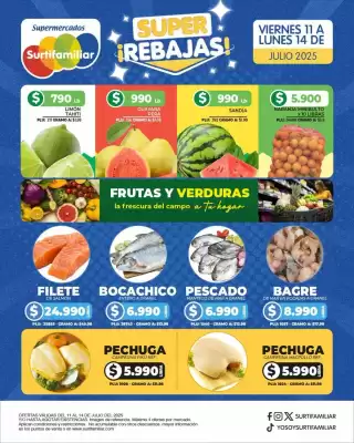 Catálogo Surtifamiliar (válido hasta 14-07)