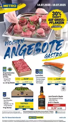 METRO Prospekt (gültig bis 19-07)