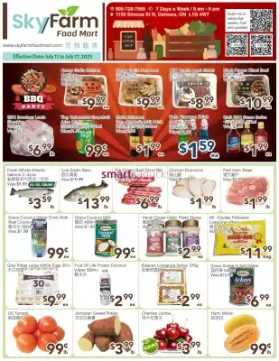 SkyFarm Food Mart flyer (valid until 17-07)