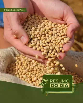 Catálogo Copercana (válido até 12-07)