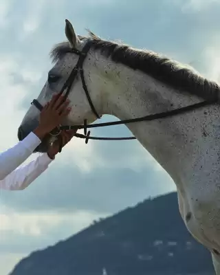 Catálogo La Martina (válido hasta 12-07)