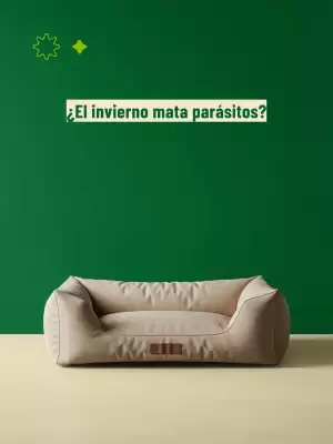 Catálogo Casper Pet Store (válido hasta 12-07)