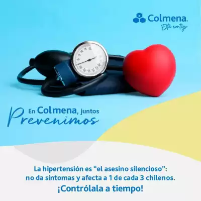 Catálogo Colmena (válido hasta 28-07)