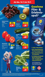 Lidl Prospekt woche 29 Seite 3