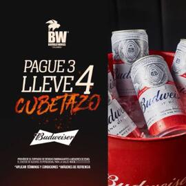 Catálogo Buffalo Wings Página 9