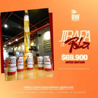 Catálogo Buffalo Wings (válido hasta 31-07)
