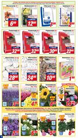 CENTERSHOP Prospekt woche 29 Seite 8