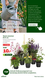 Welkoop folder Pagina 11