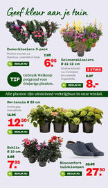 Welkoop folder Pagina 12