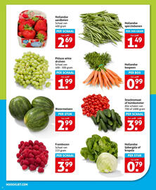 Hoogvliet folder week 29 Pagina 8