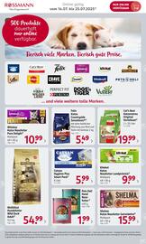 Rossmann Prospekt Seite 2