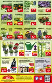 Zimmermann Prospekt woche 29 Seite 10